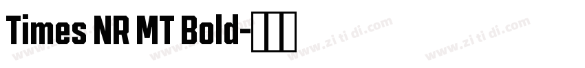 Times NR MT Bold字体转换